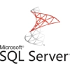Micorsoft SQL Server Logo
