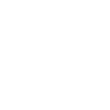Service Excellence